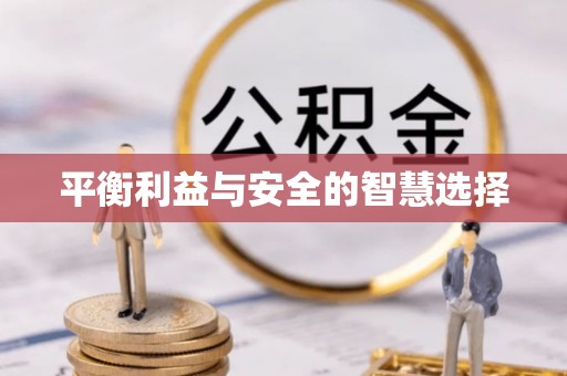 禅城平衡利益与安全的智慧选择