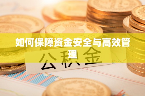 禅城如何保障资金安全与高效管理