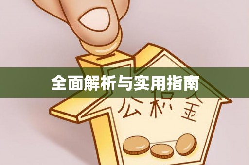 禅城全面解析与实用指南