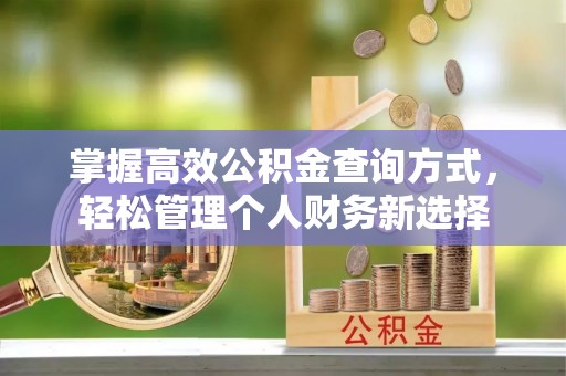禅城掌握高效公积金查询方式，轻松管理个人财务新选择