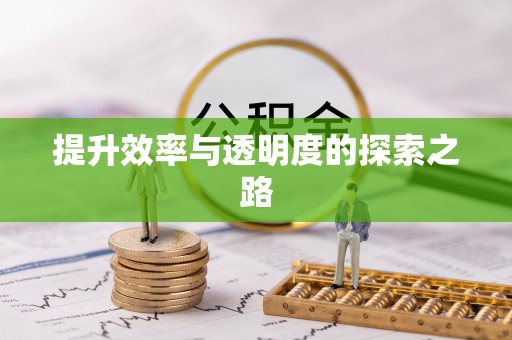 禅城提升效率与透明度的探索之路