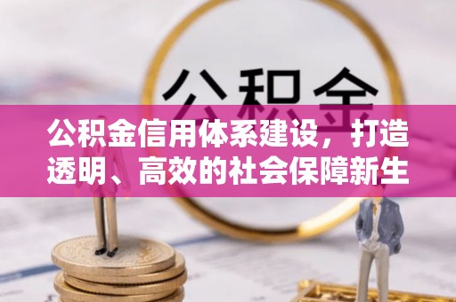 禅城公积金信用体系建设，打造透明、高效的社会保障新生态