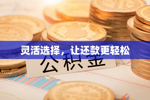 禅城灵活选择，让还款更轻松