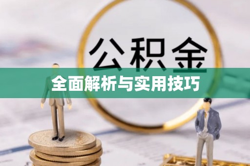 禅城全面解析与实用技巧