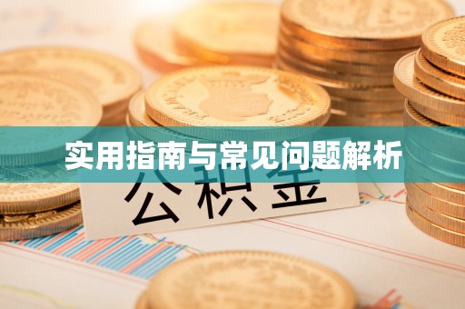 禅城实用指南与常见问题解析