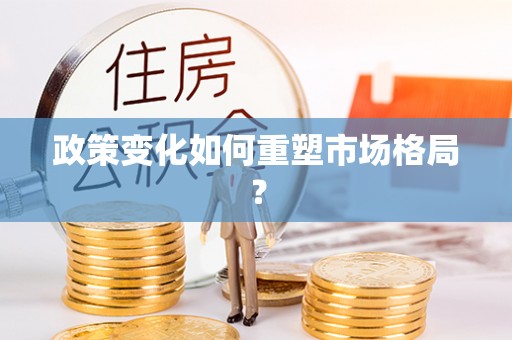 禅城政策变化如何重塑市场格局？