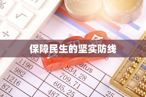 禅城保障民生的坚实防线