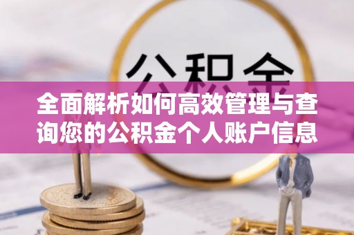 禅城全面解析如何高效管理与查询您的公积金个人账户信息