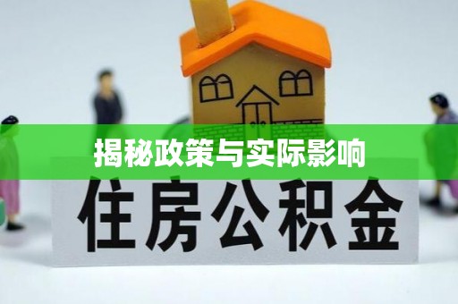 禅城揭秘政策与实际影响