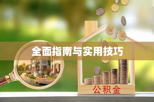 禅城全面指南与实用技巧