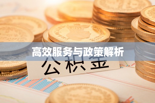 禅城高效服务与政策解析