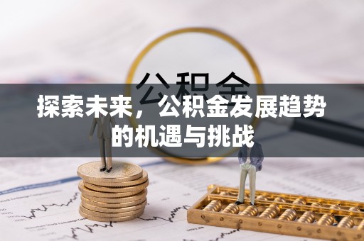 禅城探索未来，公积金发展趋势的机遇与挑战