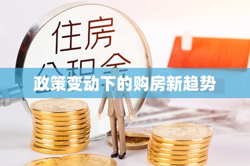 禅城政策变动下的购房新趋势