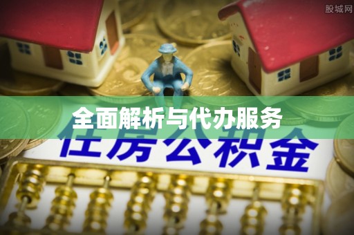 禅城全面解析与代办服务