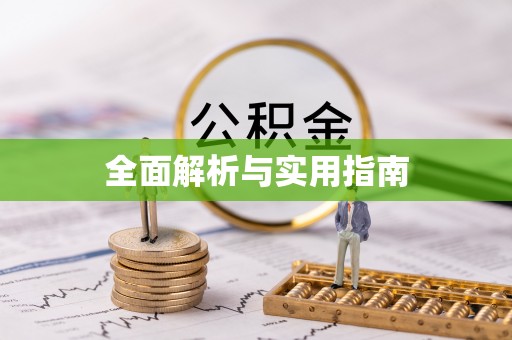 禅城全面解析与实用指南