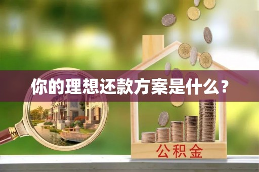禅城你的理想还款方案是什么？