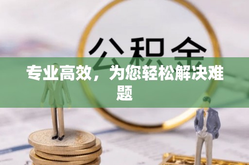 禅城专业高效，为您轻松解决难题