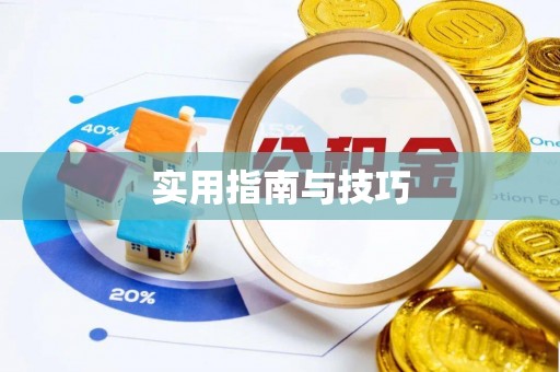 禅城实用指南与技巧