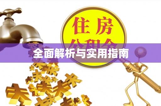 禅城全面解析与实用指南