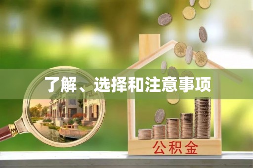 禅城了解、选择和注意事项