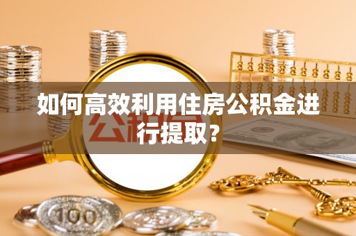 禅城如何高效利用住房公积金进行提取？
