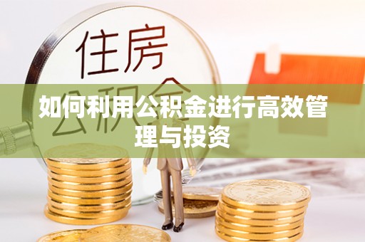 禅城如何利用公积金进行高效管理与投资