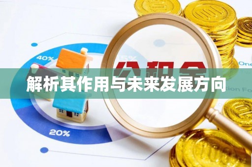 禅城解析其作用与未来发展方向