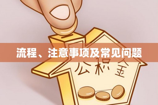 禅城流程、注意事项及常见问题