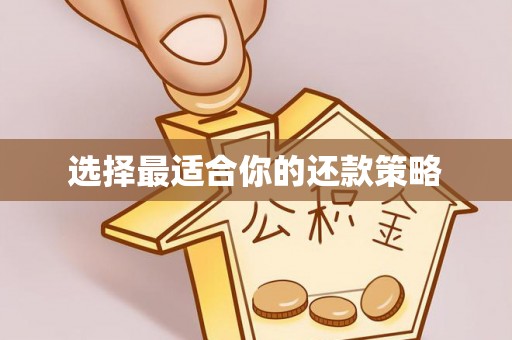 禅城选择最适合你的还款策略