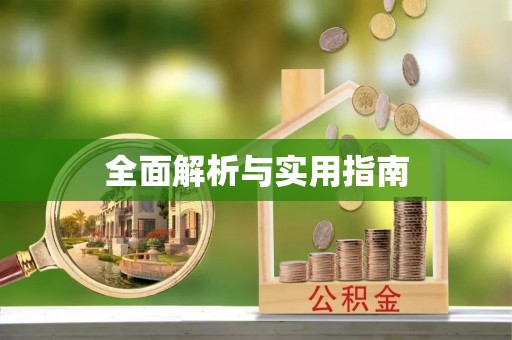 禅城全面解析与实用指南