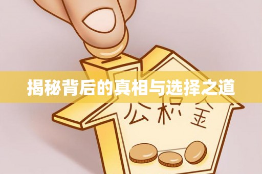 禅城揭秘背后的真相与选择之道