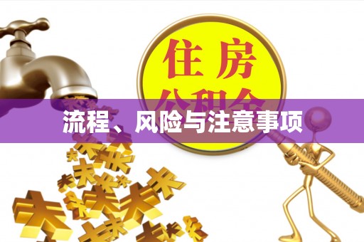 禅城流程、风险与注意事项