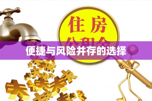 禅城便捷与风险并存的选择