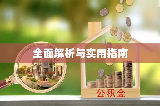 禅城全面解析与实用指南