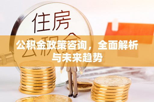 禅城公积金政策咨询，全面解析与未来趋势